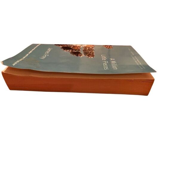 A Million a Little Pieces by James Frey Paperback Book 2003 - Picture 7 of 13